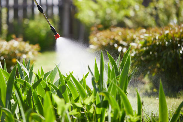 Tamper-Resistant Bait Stations for Rodents in Lemay
