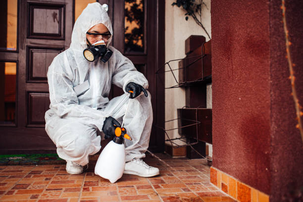 Attic and Crawl Space Rodent Treatment in Lemay